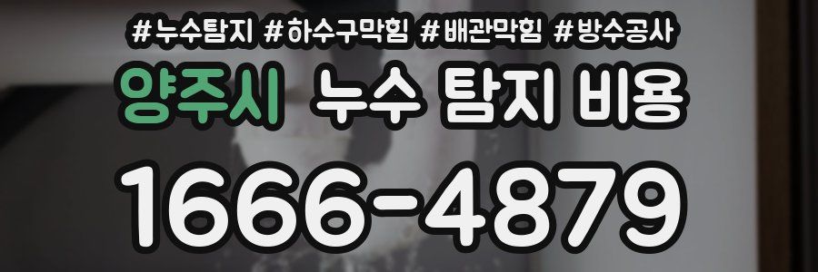 양주시 누수 탐지 비용