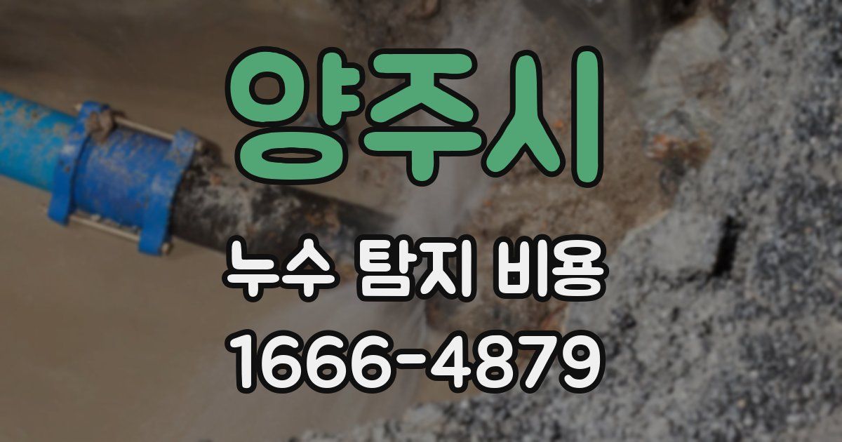 양주시 누수 탐지 비용
