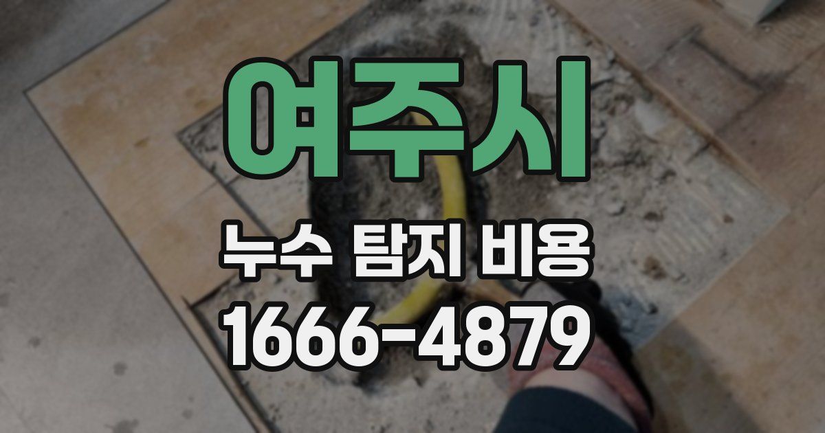 여주시 누수 탐지 비용