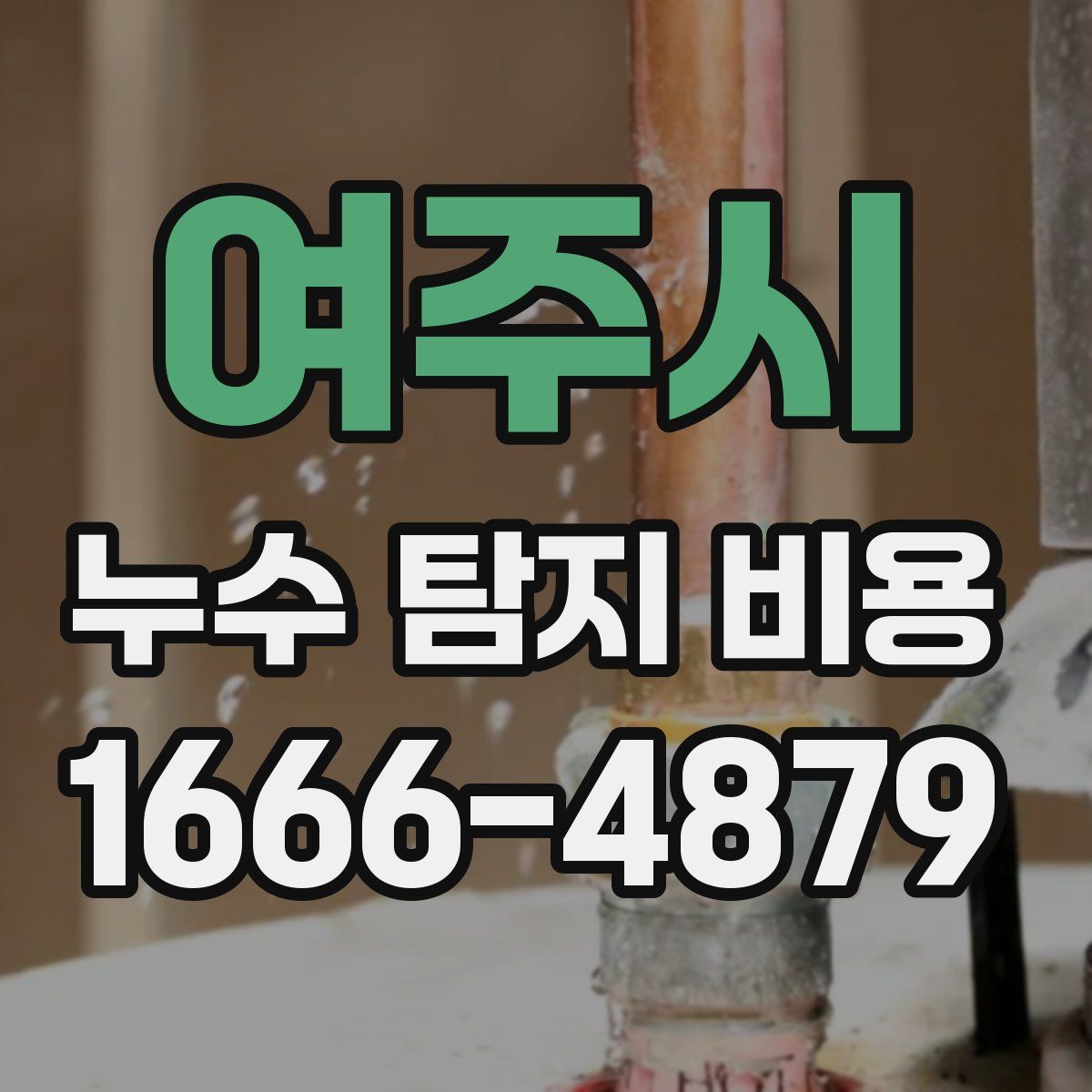여주시 누수 탐지 비용