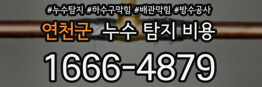 연천군 누수 탐지 비용
