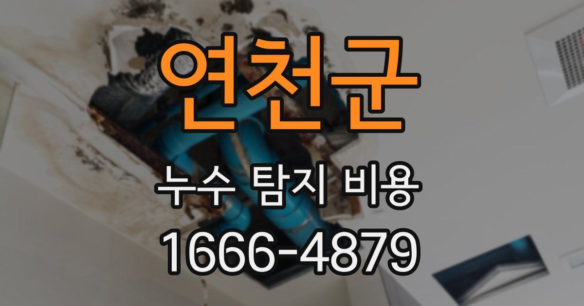 연천군 누수 탐지 비용