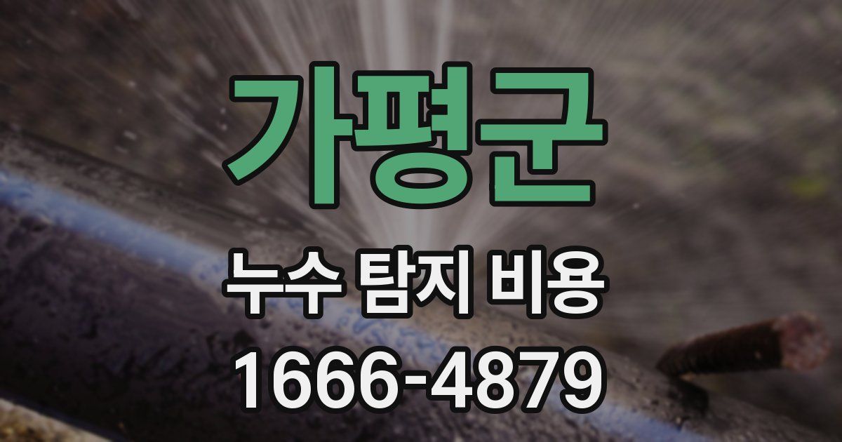 가평군 누수 탐지 비용