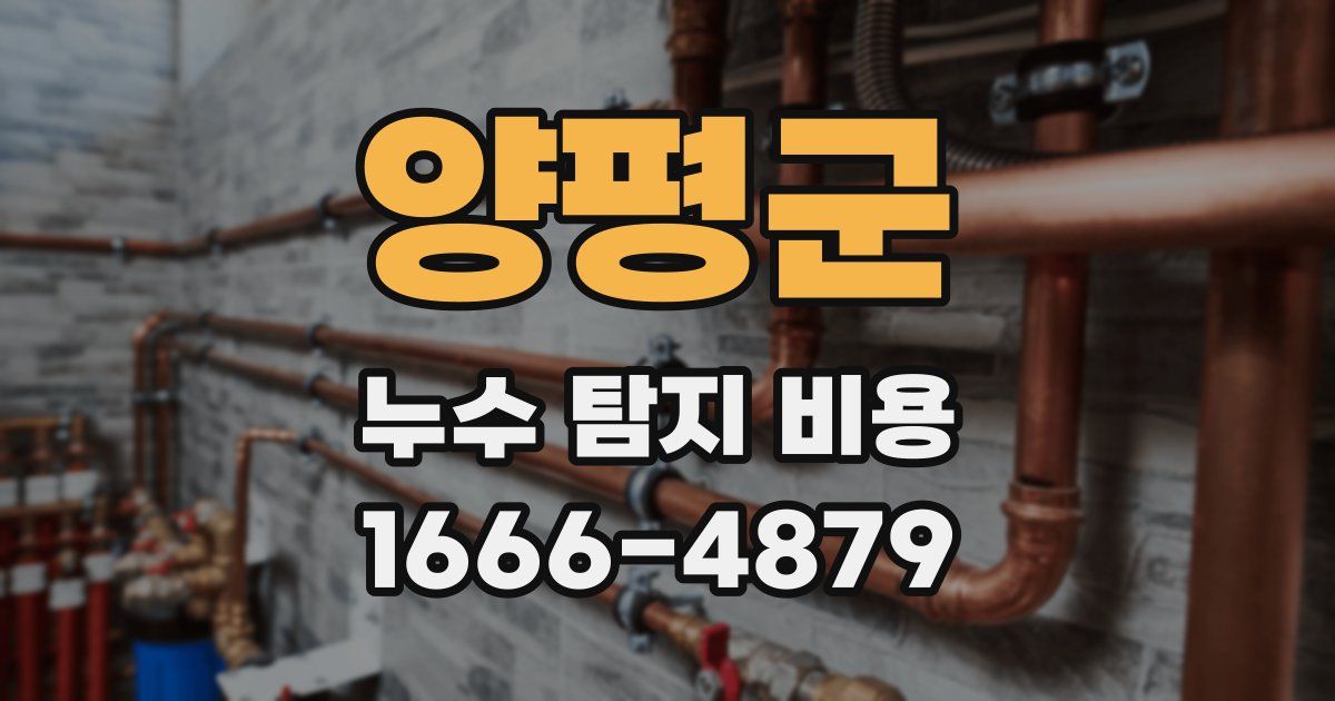 양평군 누수 탐지 비용