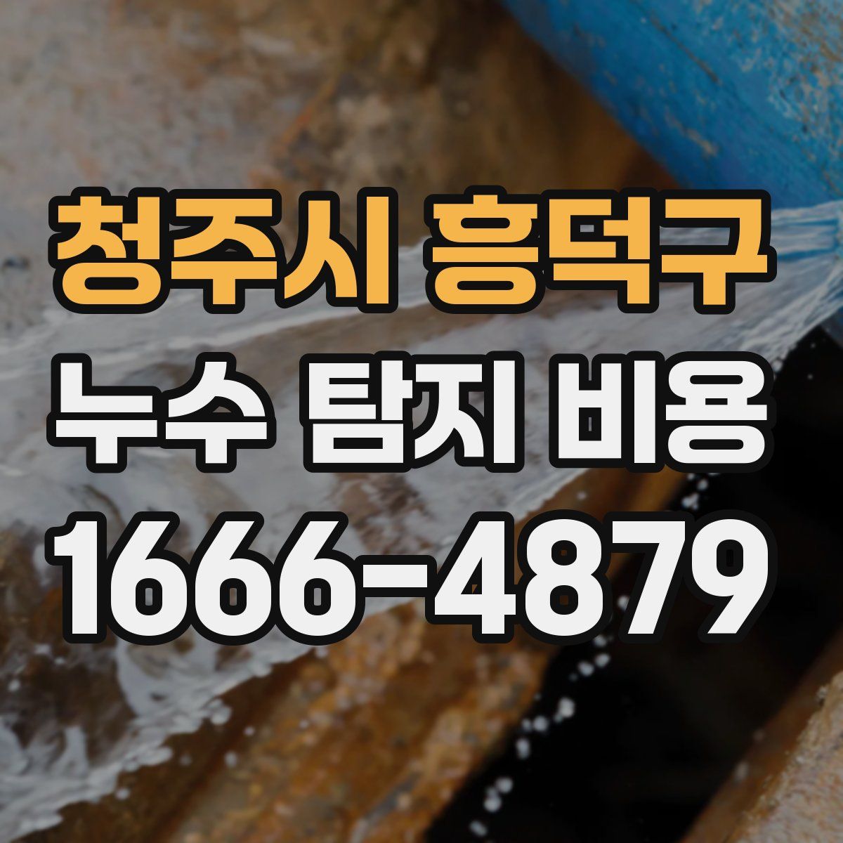 청주시 흥덕구 누수 탐지 비용