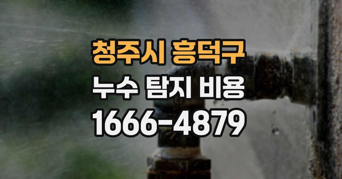 청주시 흥덕구 누수 탐지 비용