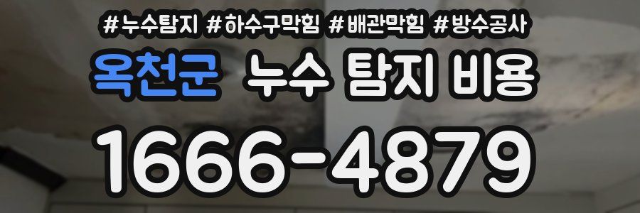옥천군 누수 탐지 비용