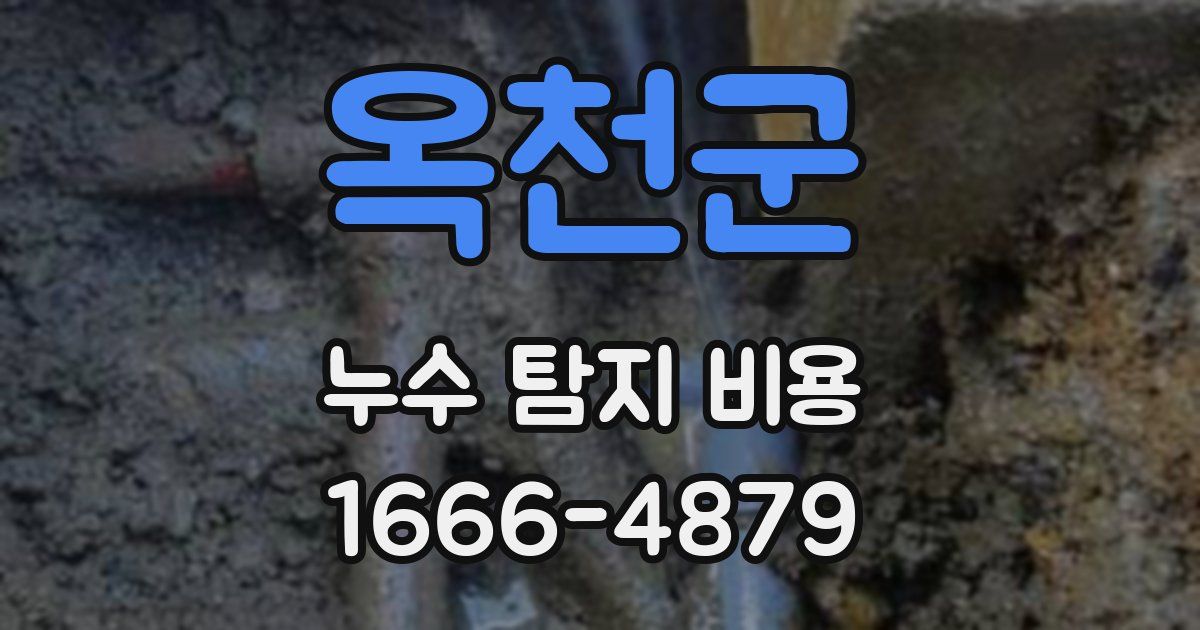 옥천군 누수 탐지 비용