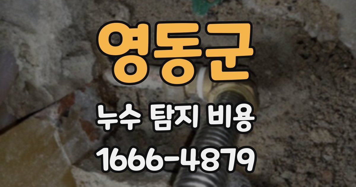영동군 누수 탐지 비용
