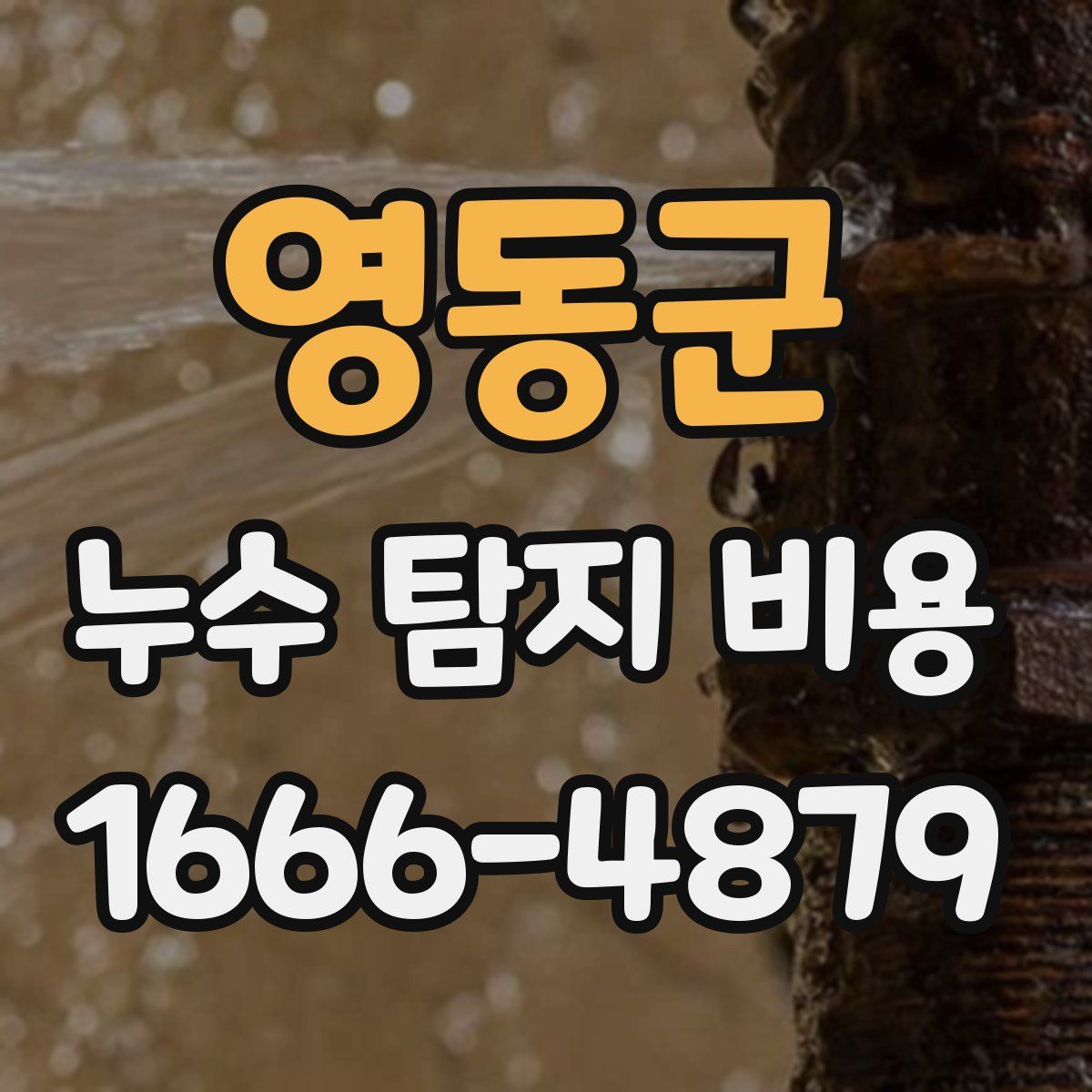 영동군 누수 탐지 비용