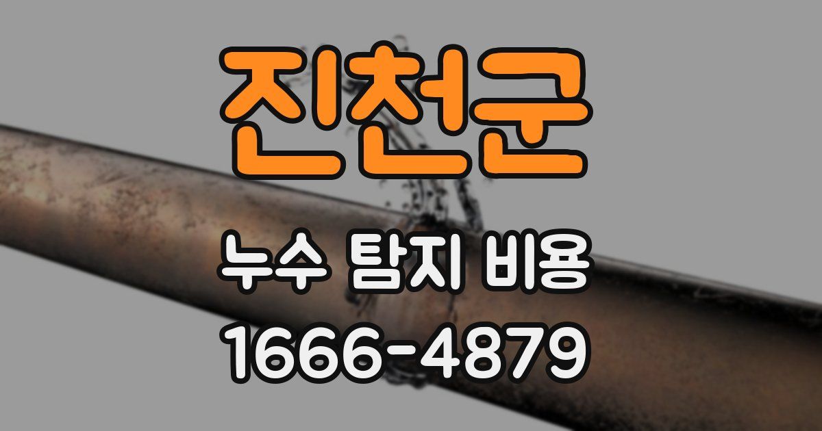 진천군 누수 탐지 비용