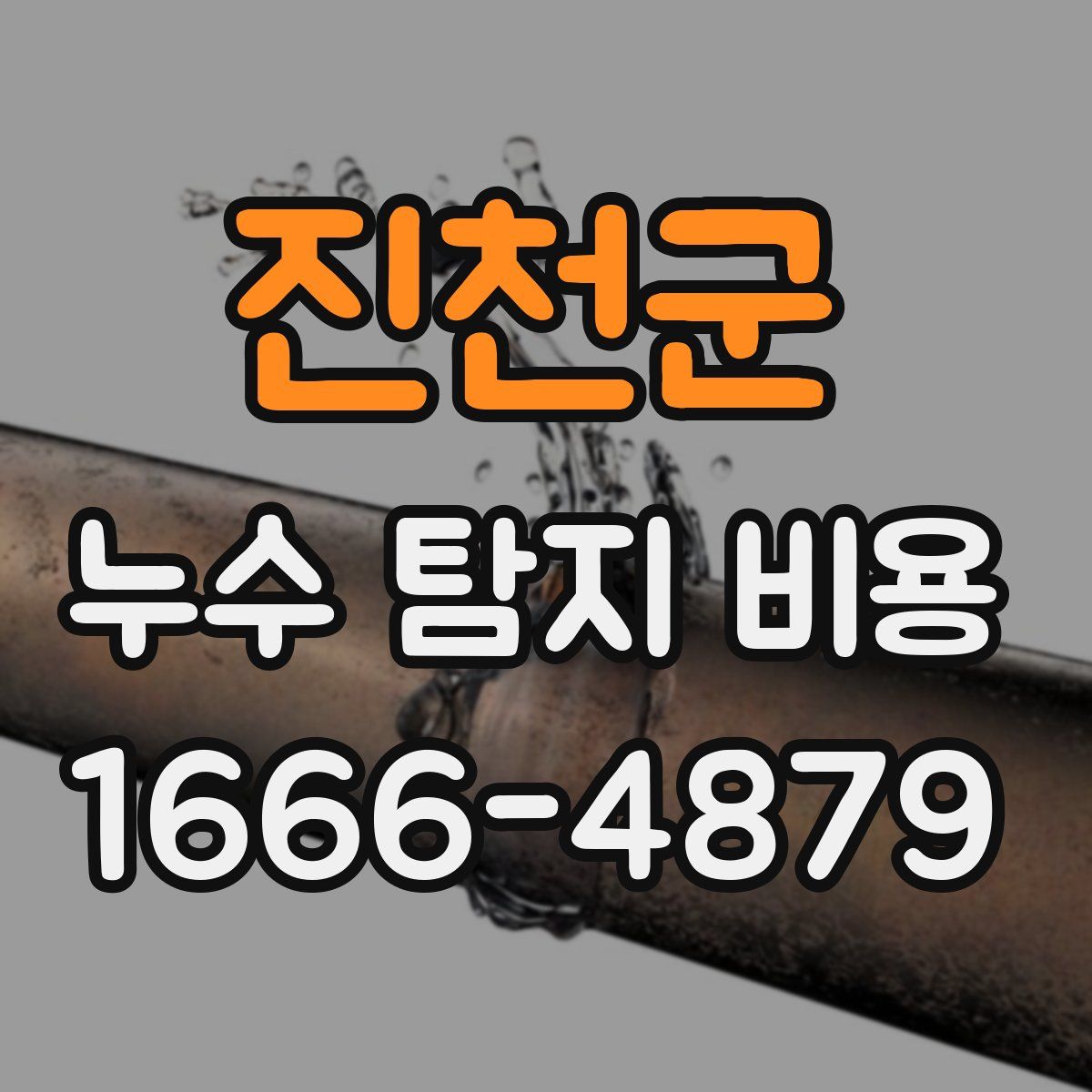 진천군 누수 탐지 비용