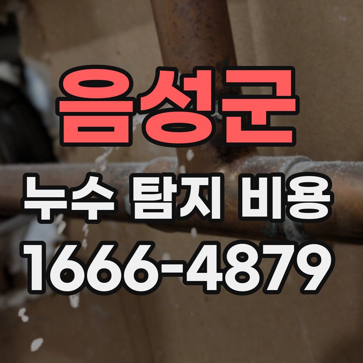 음성군 누수 탐지 비용