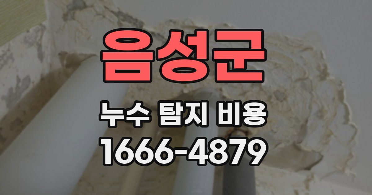 음성군 누수 탐지 비용
