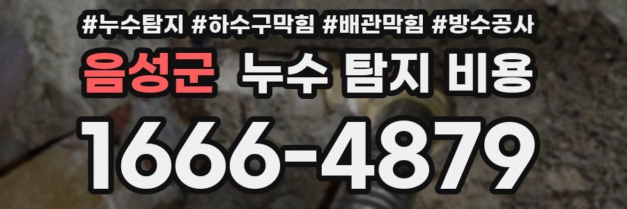 음성군 누수 탐지 비용