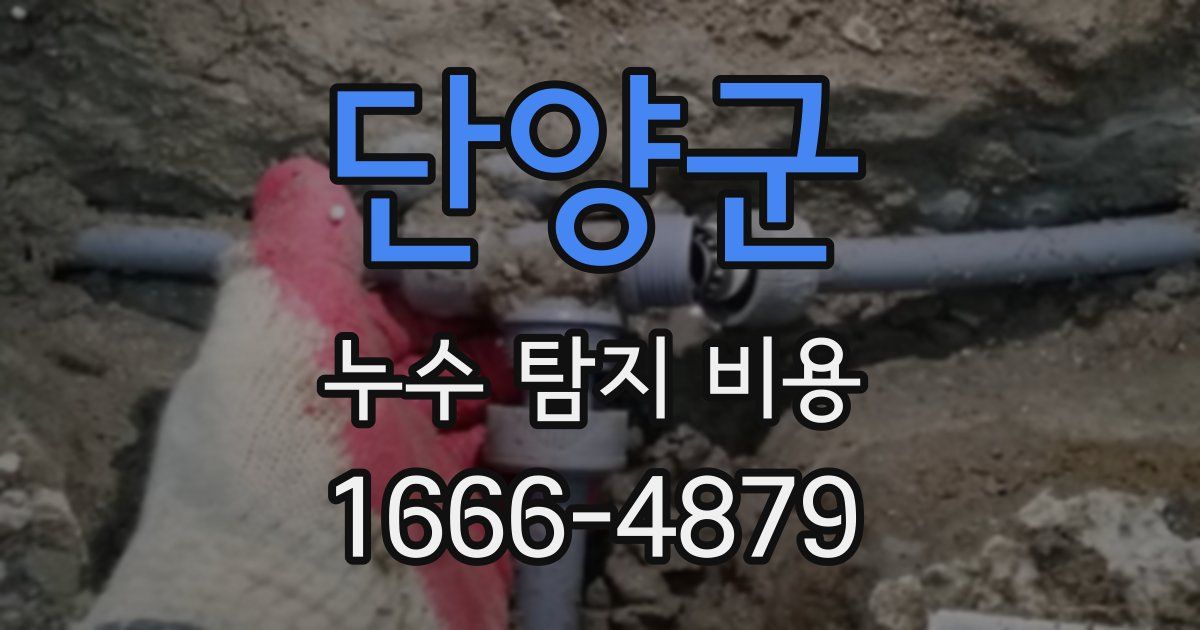 단양군 누수 탐지 비용