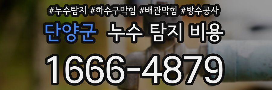 단양군 누수 탐지 비용