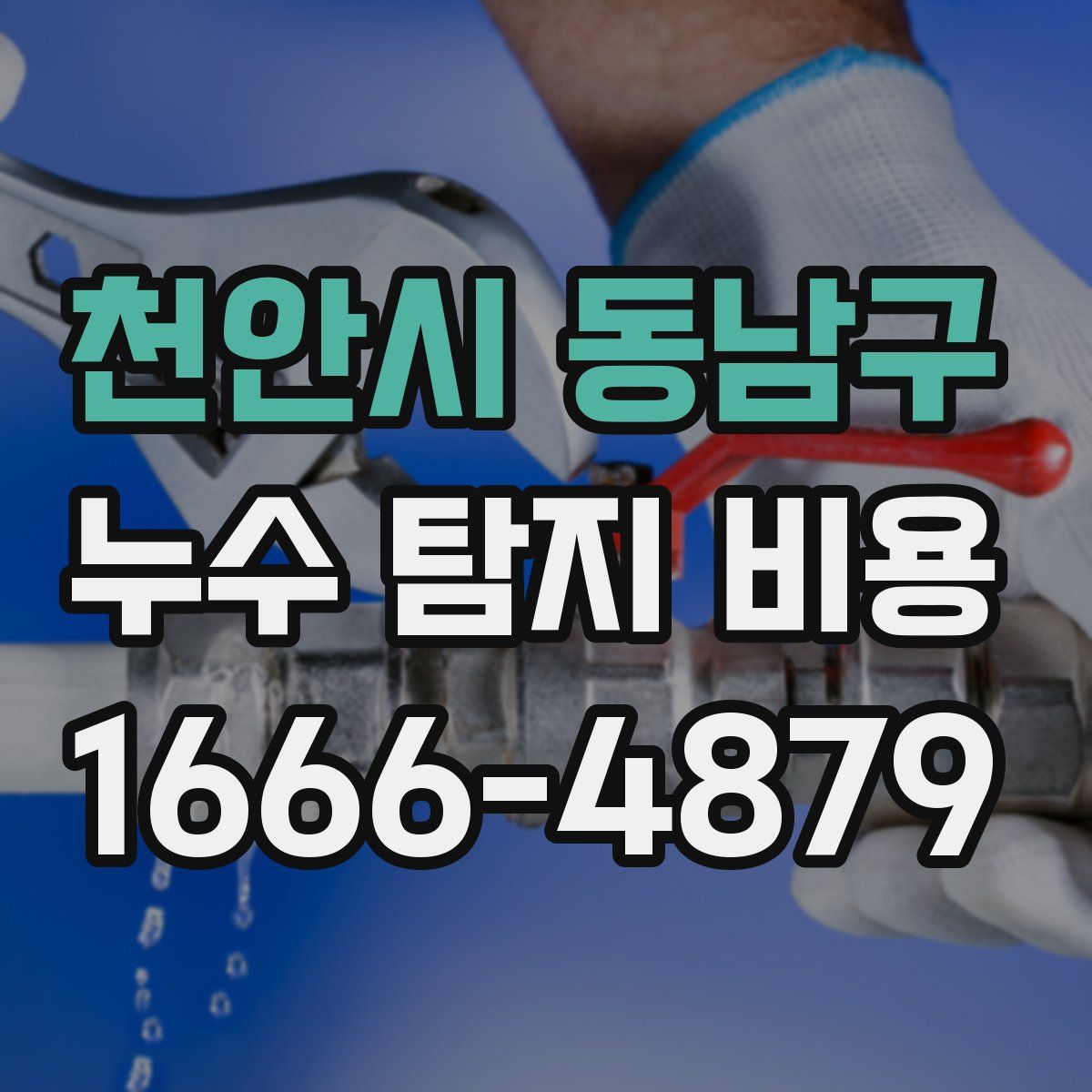 천안시 동남구 누수 탐지 비용