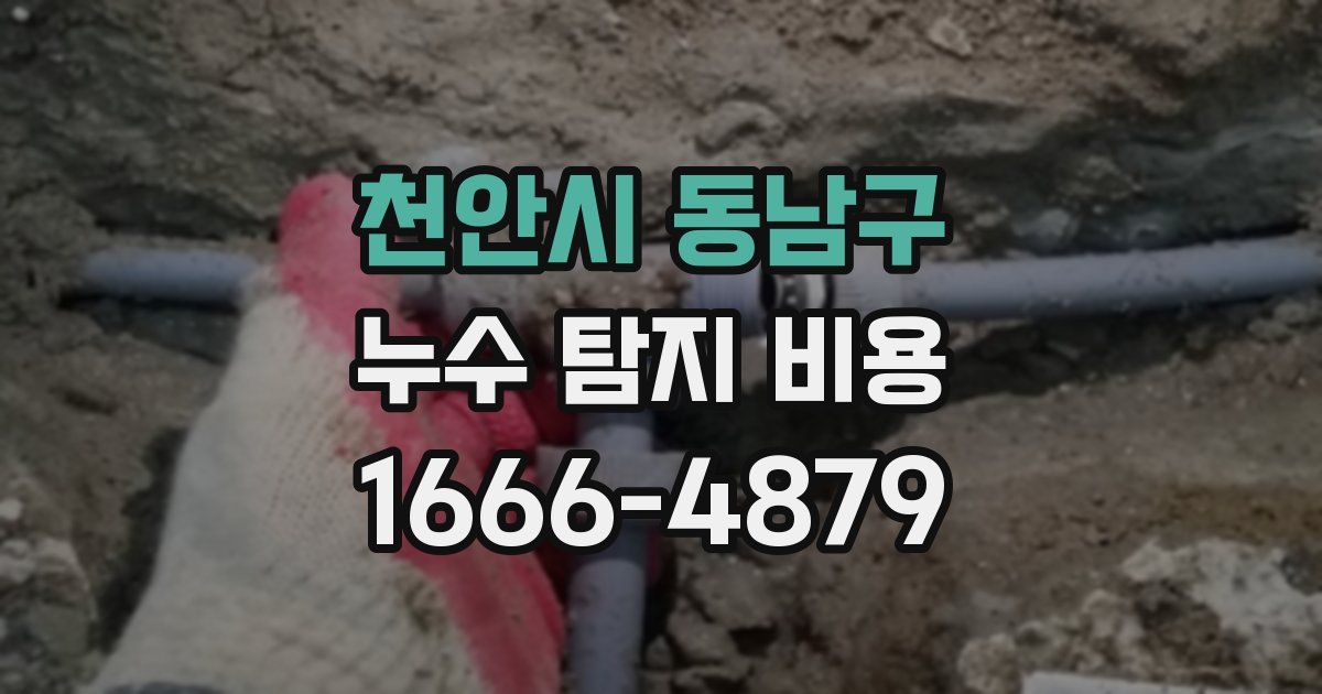 천안시 동남구 누수 탐지 비용