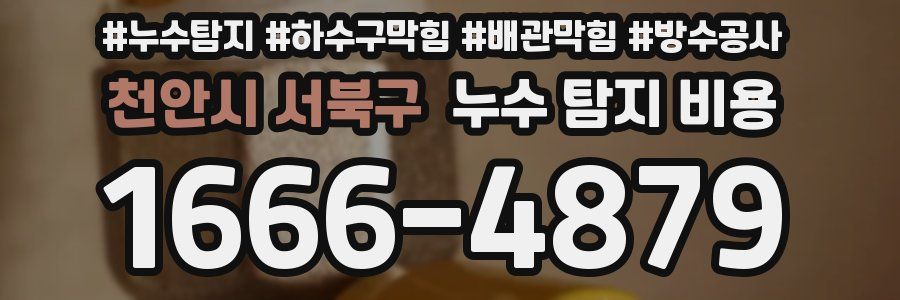천안시 서북구 누수 탐지 비용
