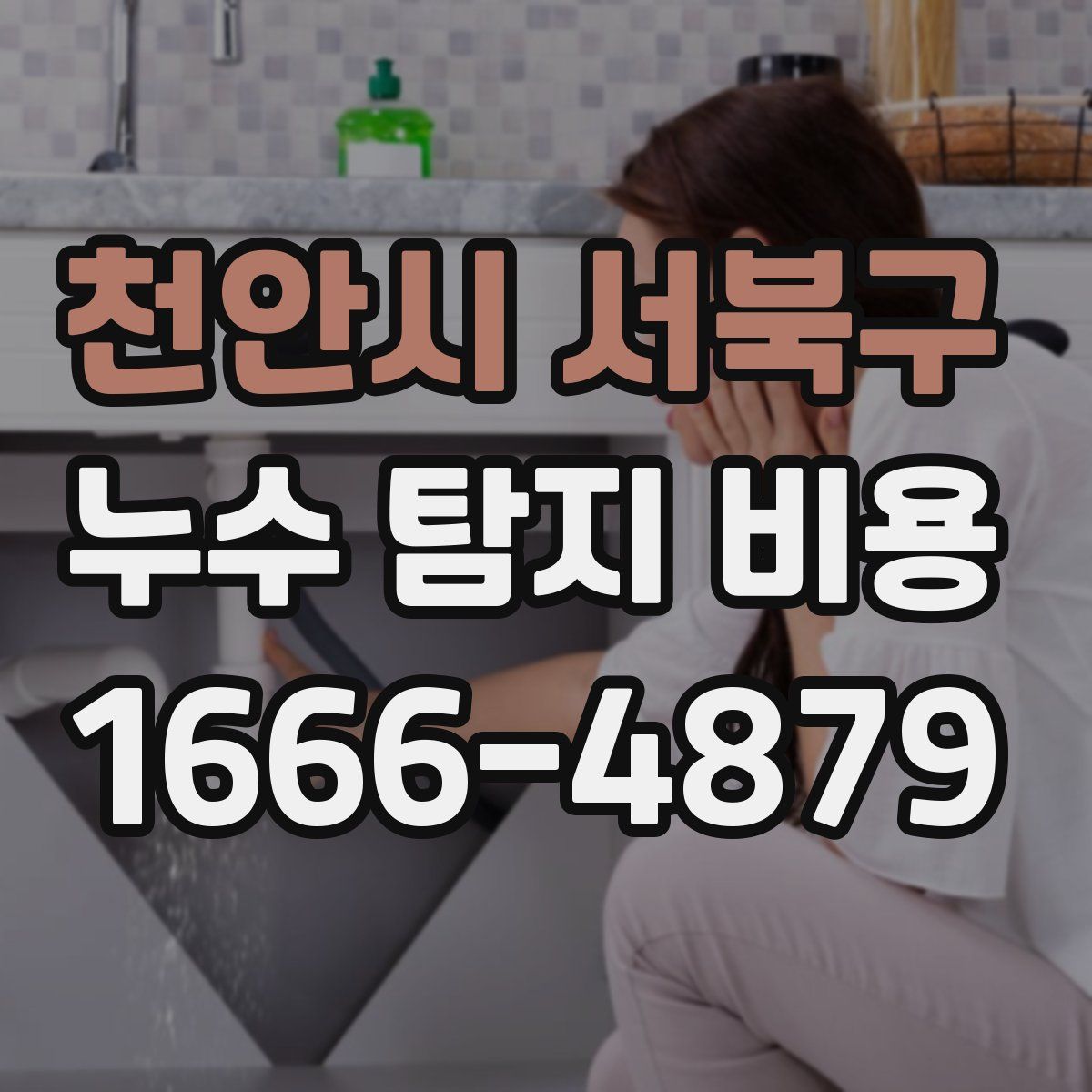 천안시 서북구 누수 탐지 비용