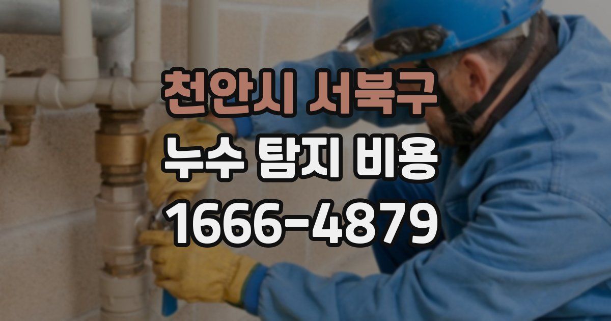 천안시 서북구 누수 탐지 비용