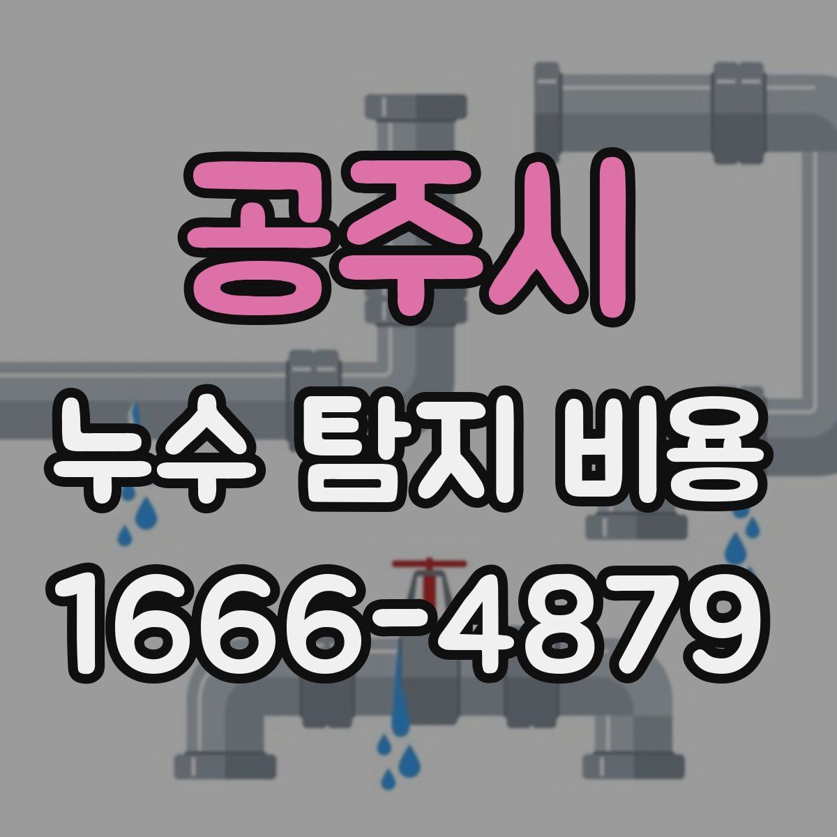 공주시 누수 탐지 비용