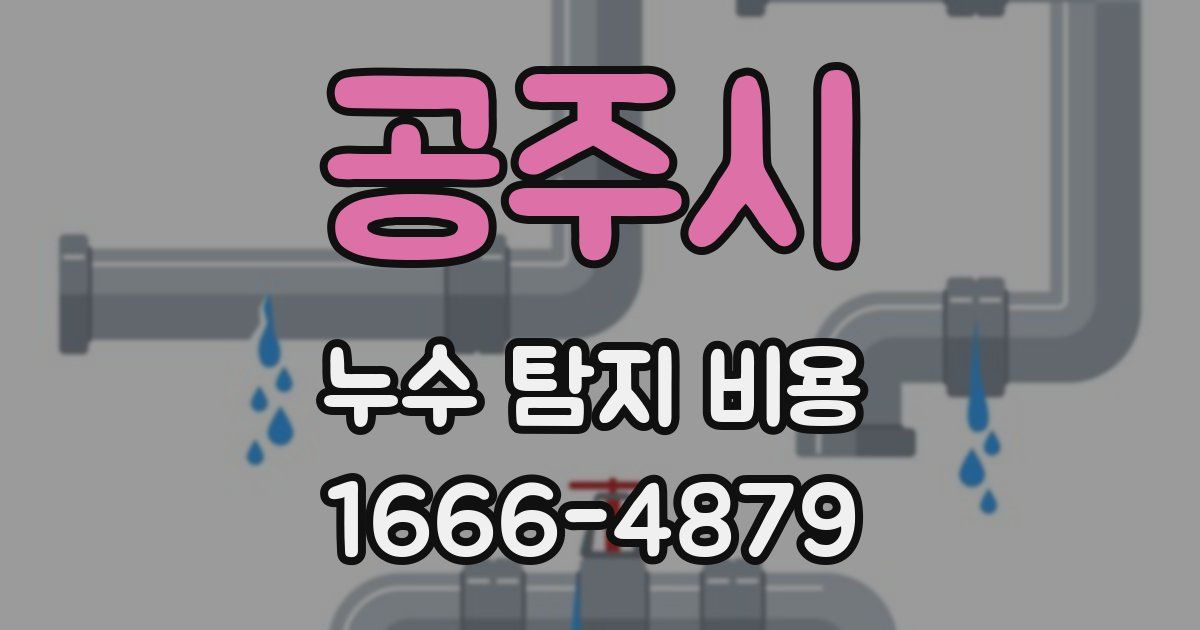 공주시 누수 탐지 비용