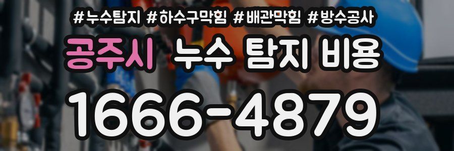 공주시 누수 탐지 비용