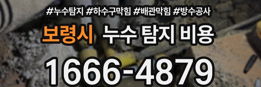 보령시 누수 탐지 비용