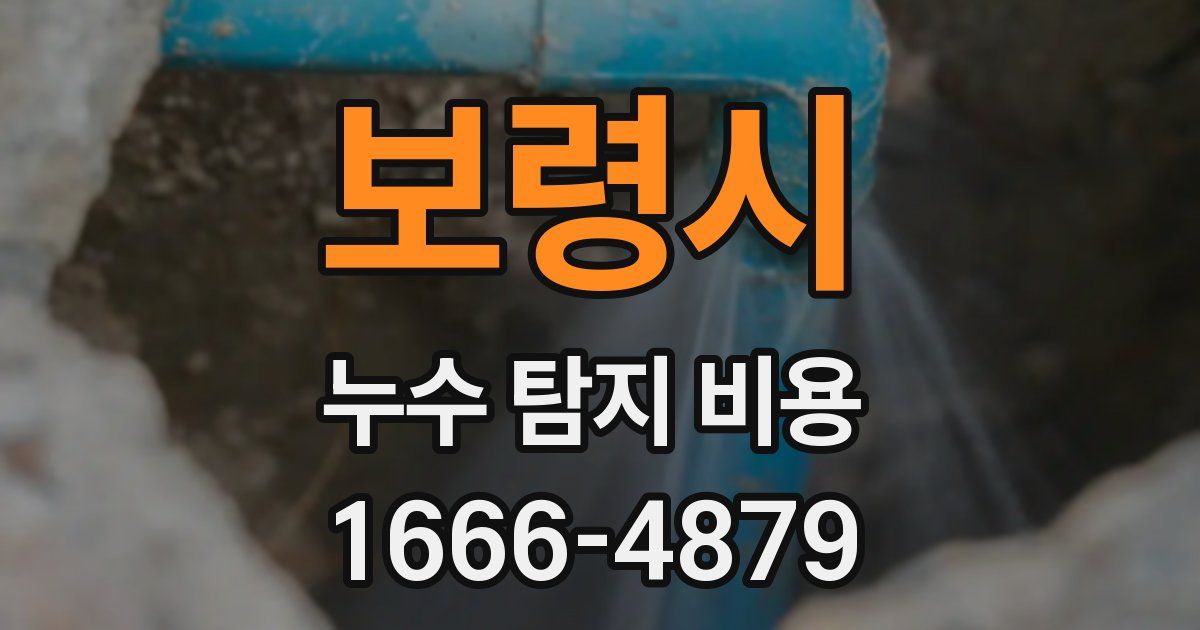 보령시 누수 탐지 비용