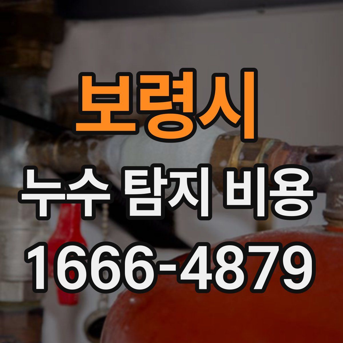 보령시 누수 탐지 비용