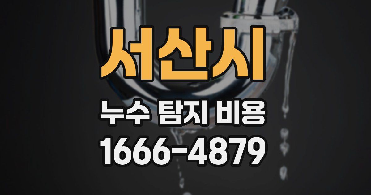 서산시 누수 탐지 비용