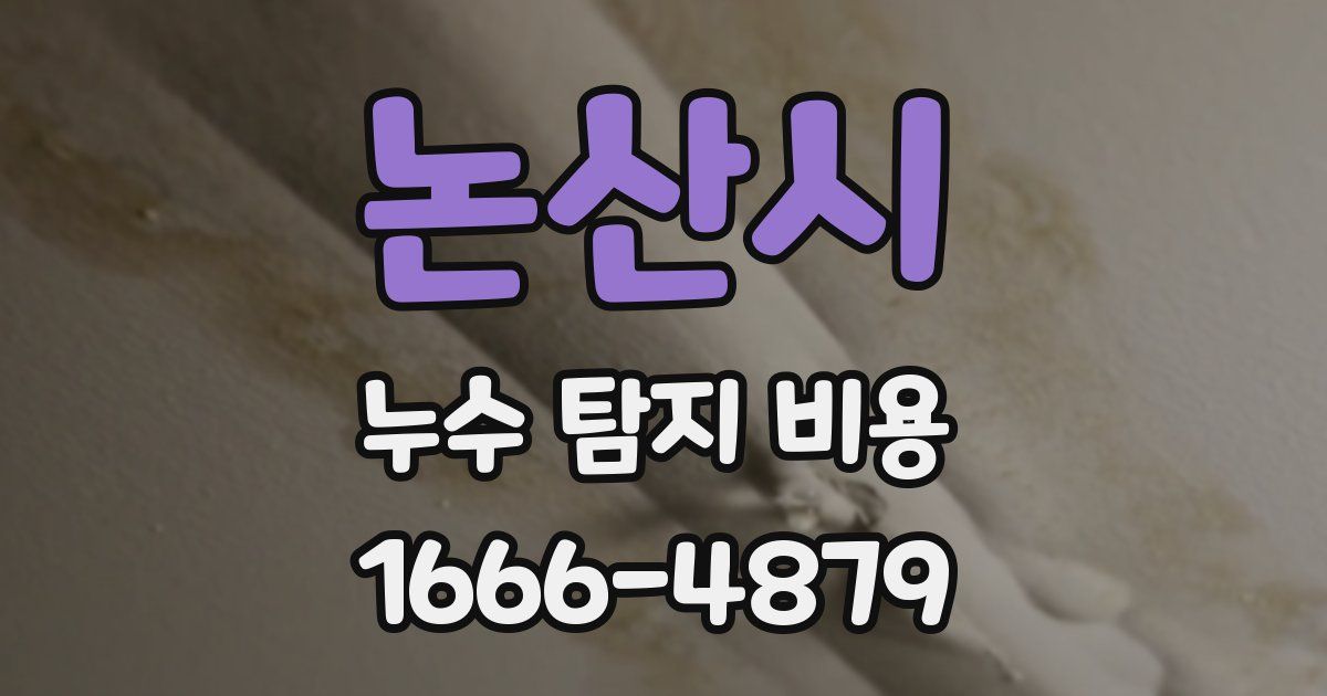 논산시 누수 탐지 비용