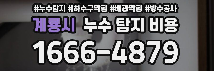 계룡시 누수 탐지 비용