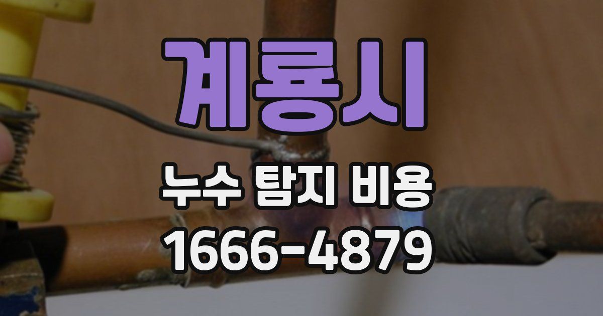 계룡시 누수 탐지 비용