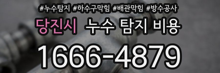 당진시 누수 탐지 비용