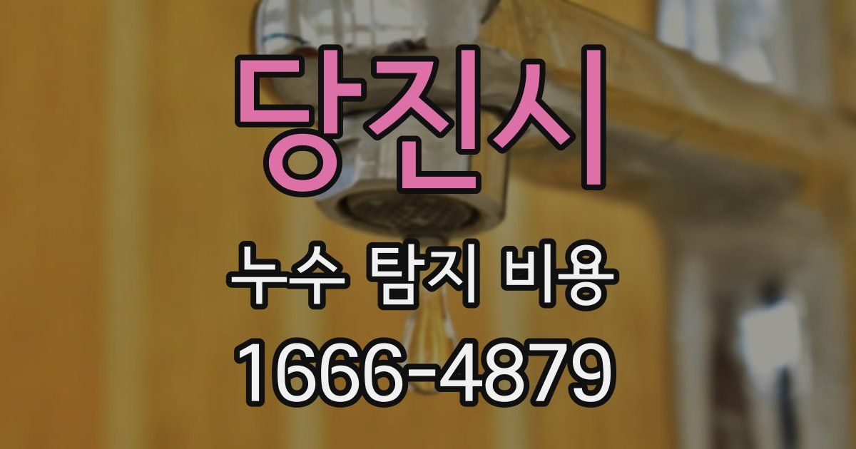 당진시 누수 탐지 비용