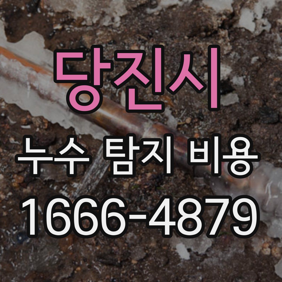 당진시 누수 탐지 비용