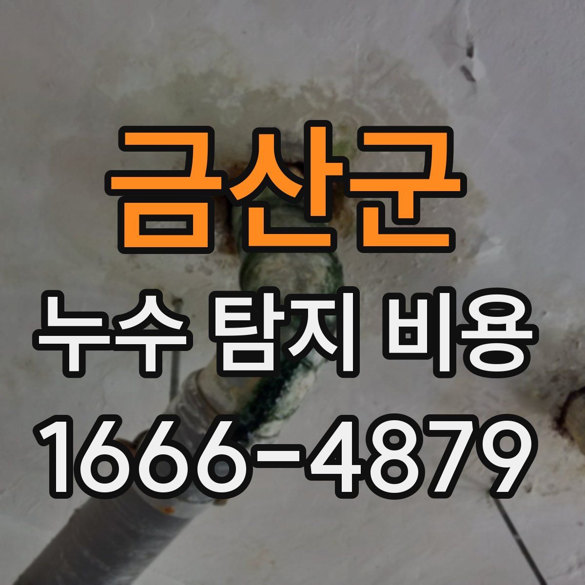 금산군 누수 탐지 비용