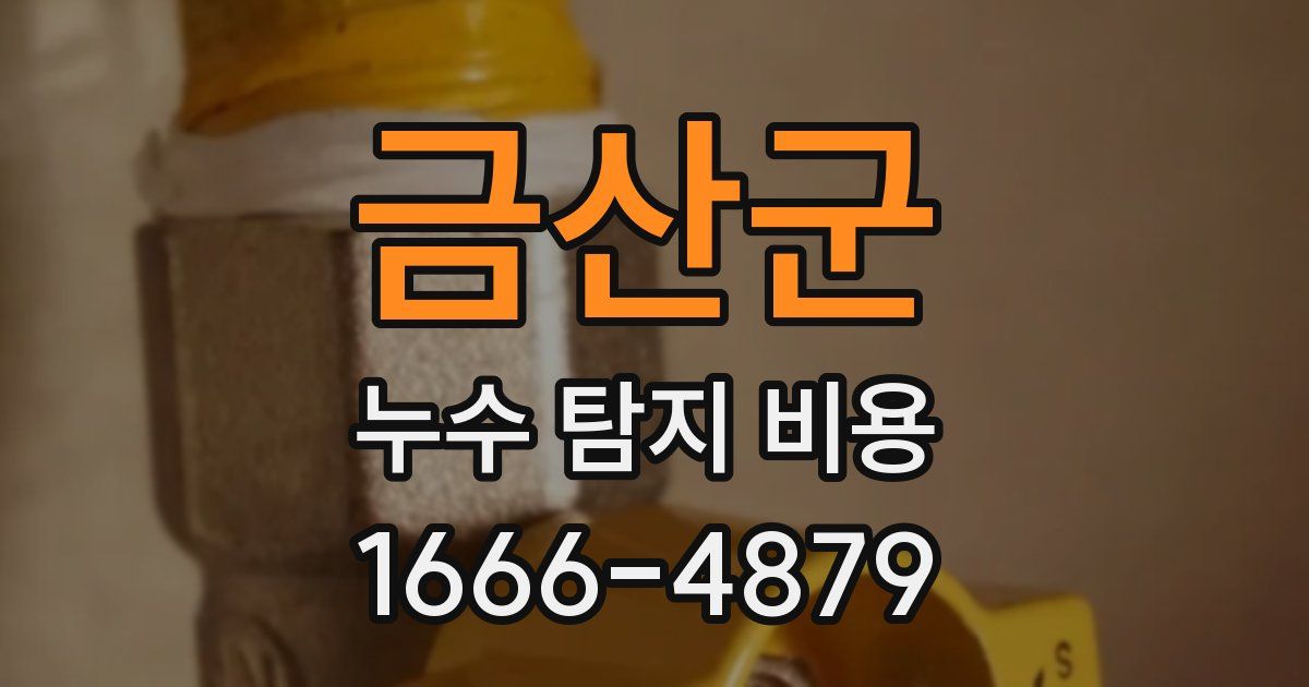 금산군 누수 탐지 비용