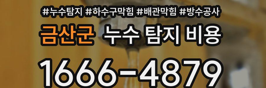 금산군 누수 탐지 비용