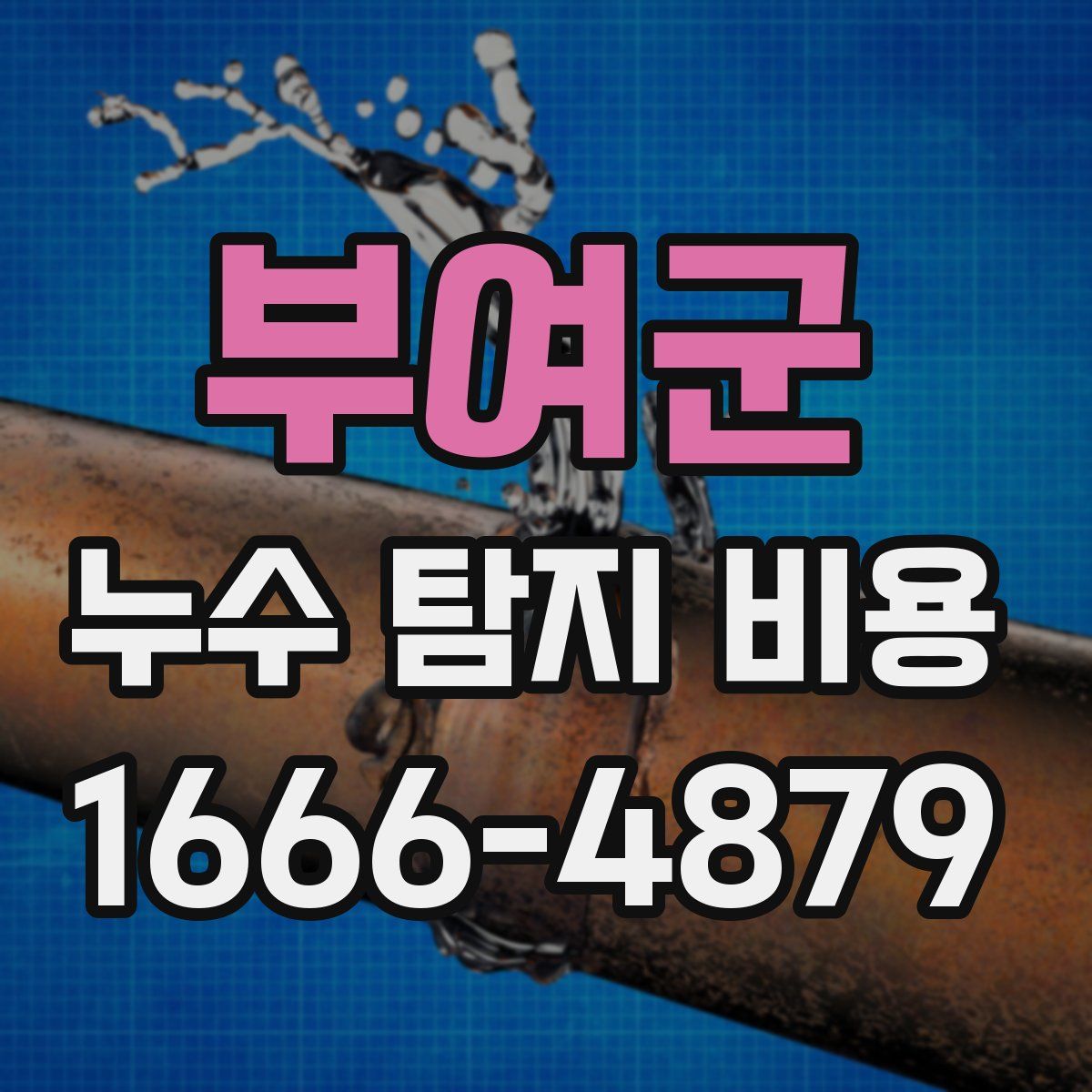 부여군 누수 탐지 비용