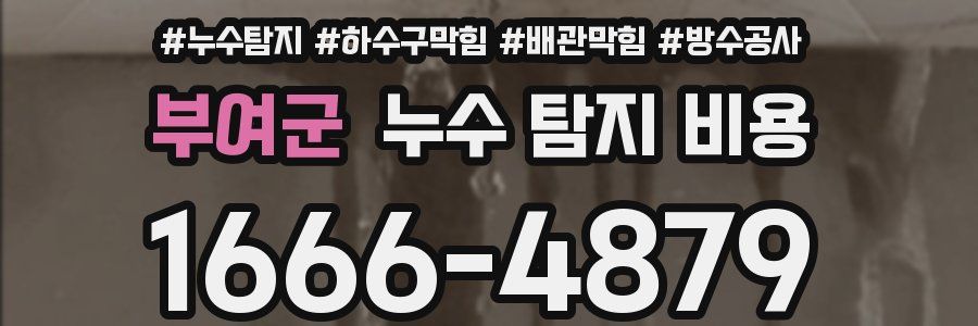 부여군 누수 탐지 비용