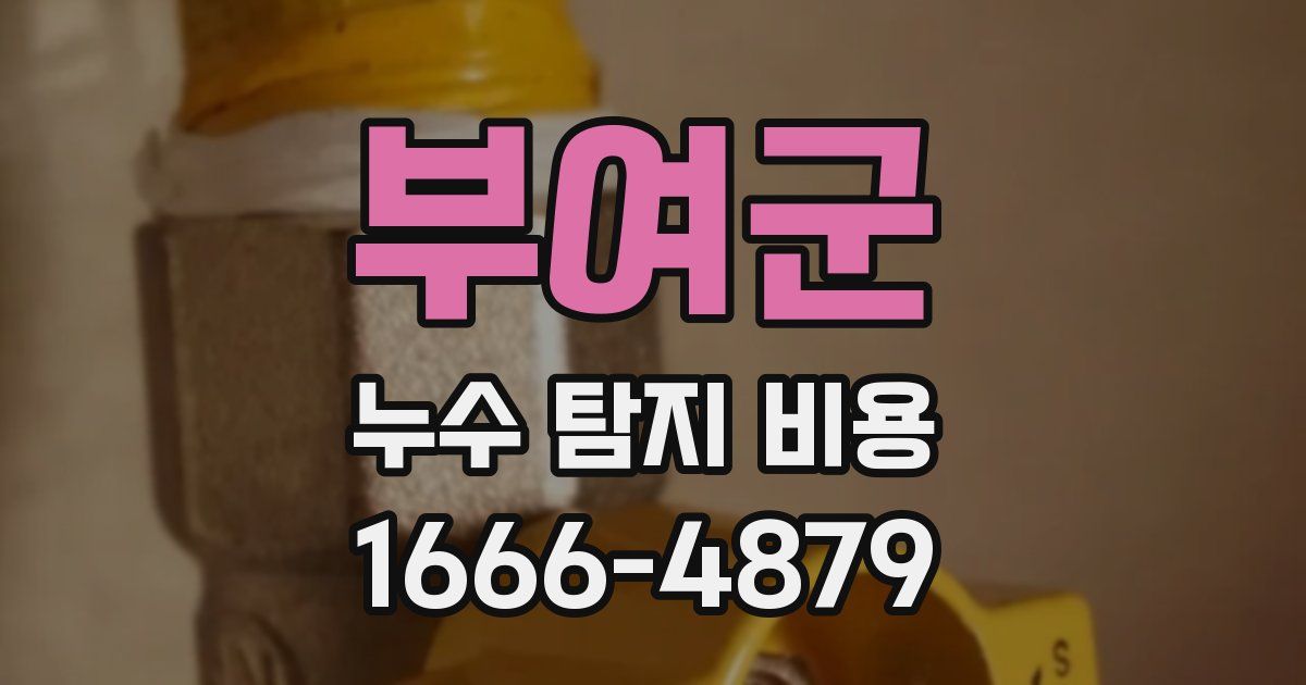 부여군 누수 탐지 비용