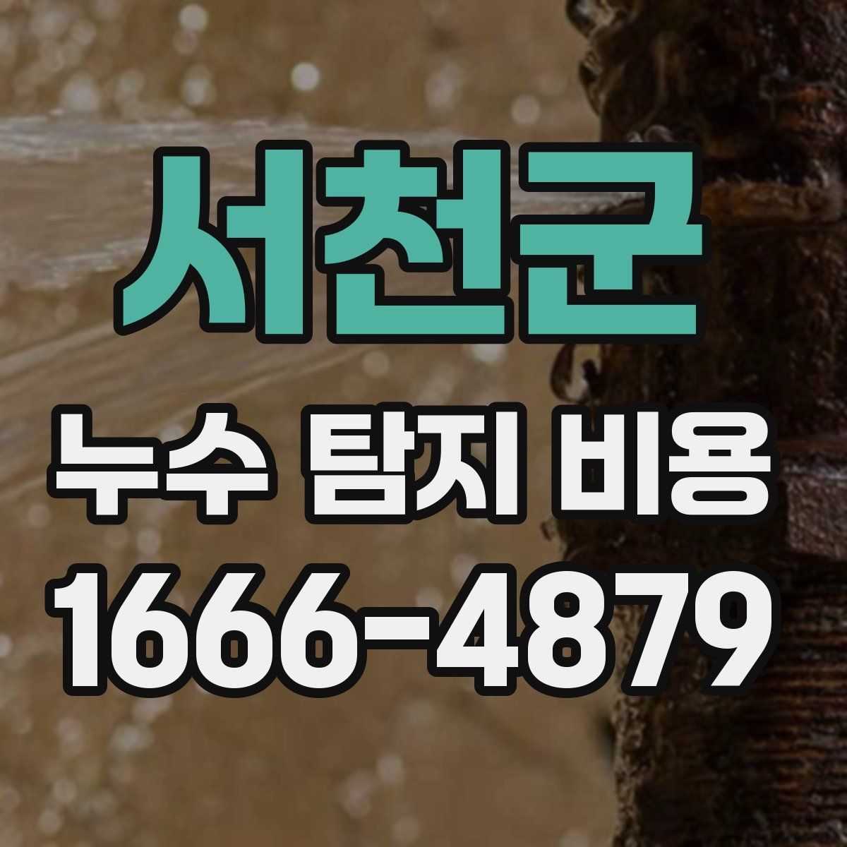 서천군 누수 탐지 비용