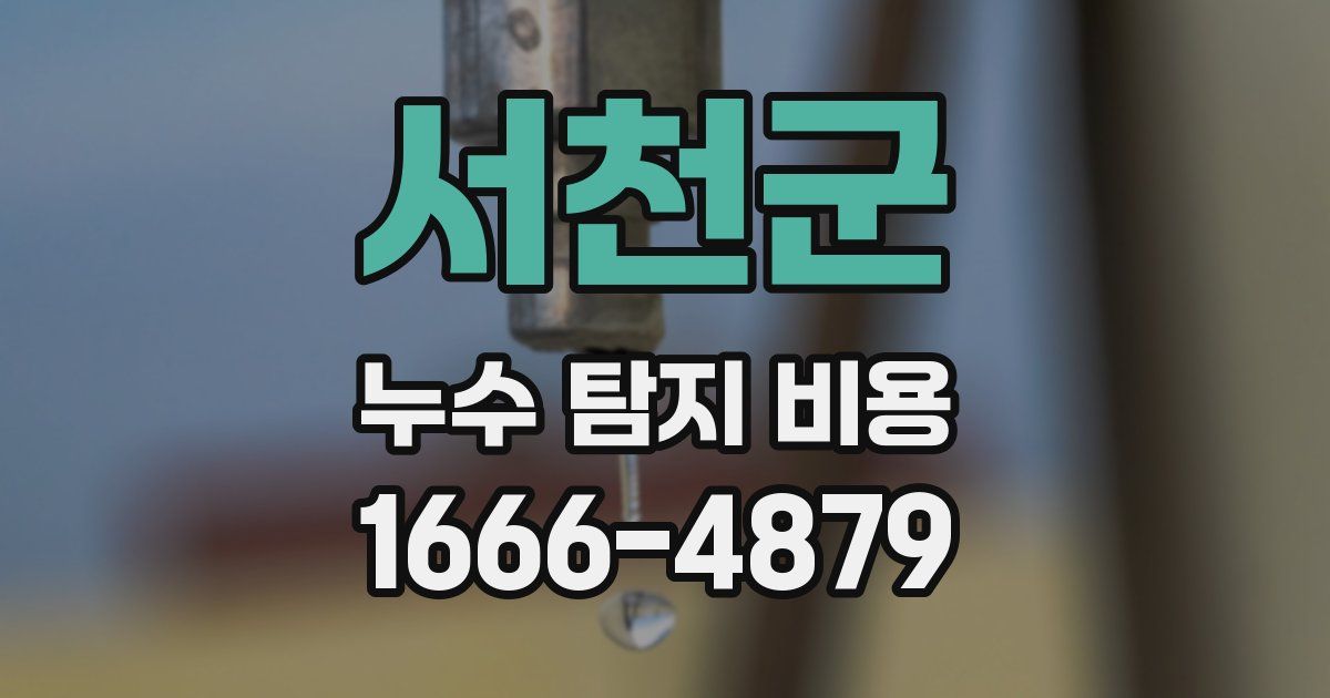 서천군 누수 탐지 비용