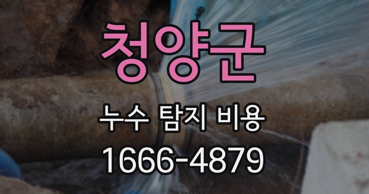 청양군 누수 탐지 비용