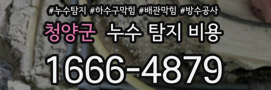 청양군 누수 탐지 비용
