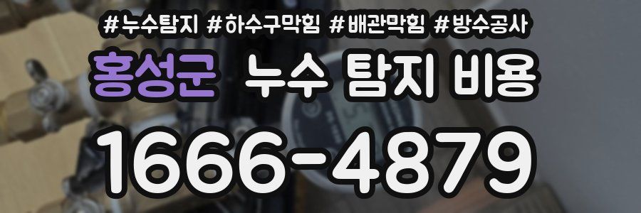 홍성군 누수 탐지 비용